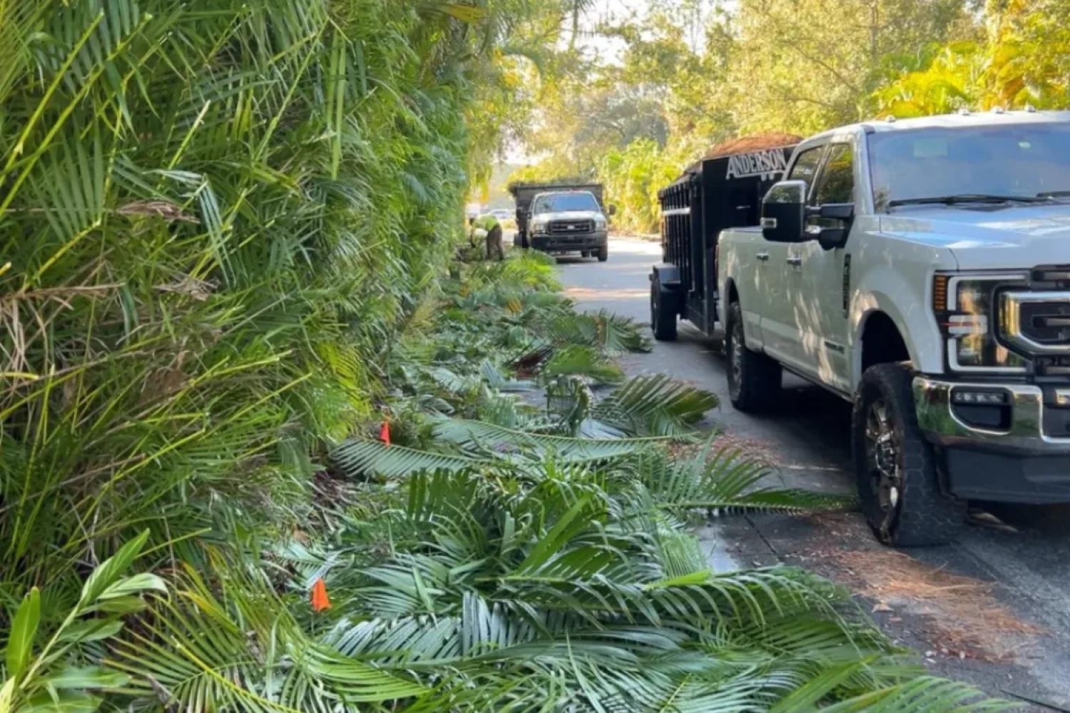 Cocoa Beach landscaping